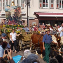 Festgruppe „Glaubt & lebt“ aus Stuppach - Ochsengespann mit der „Stuppacher Madonna“