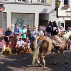Der KreisLandFrauenverband Main-Tauber