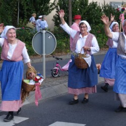 LandFrauengruppe aus Gammesfeld (KreisLandFrauenverband Crailsheim) in Alltagstrachten