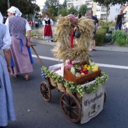 LandFrauengruppe aus Gammesfeld (KreisLandFrauenverband Crailsheim)