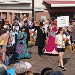 Mörike-Gruppe des LandFrauenvereins Wermutshausen (KreisLandFrauenverband Main-Tauber)