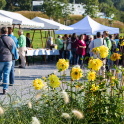 Fürs leibliche Wohl sorgte der KreislandFrauenverband Hohenlohe