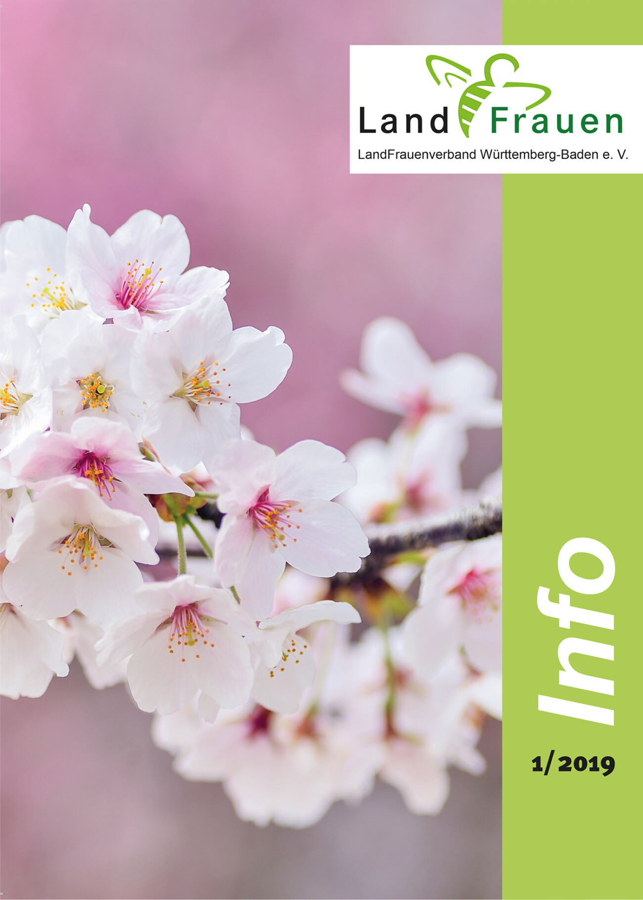 Verbandszeitschrift Info-01-2019