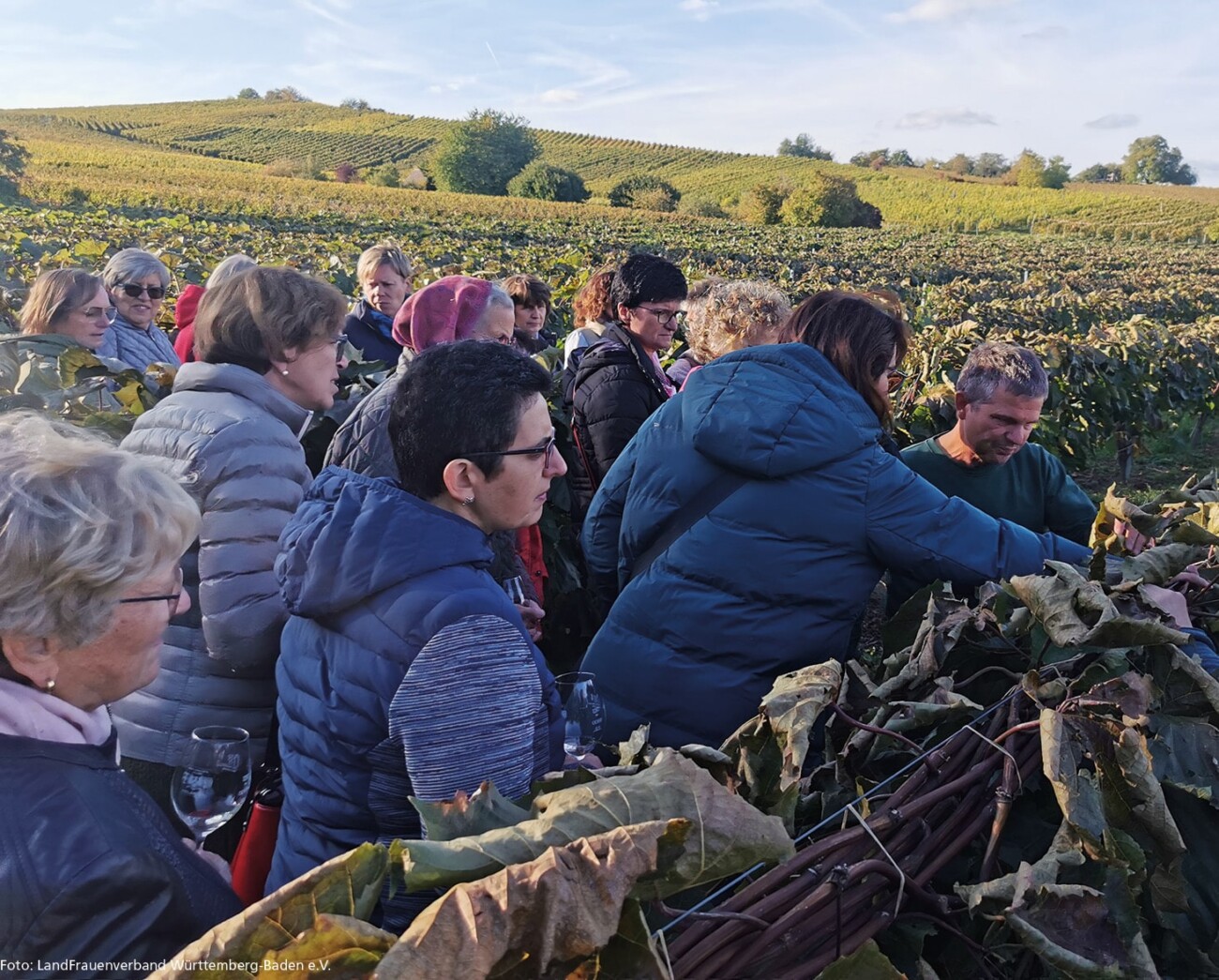 Fachtag für Weingärtnerinnen und Winzerinnen 2023