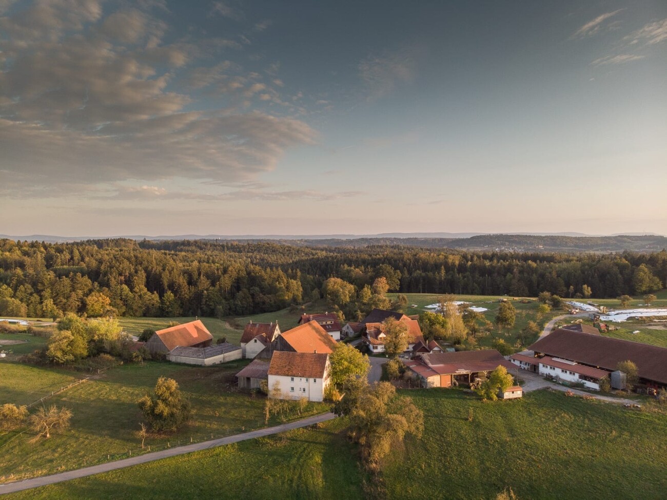 Interview – Eine LandFrau erzählt vom Dürresommer
